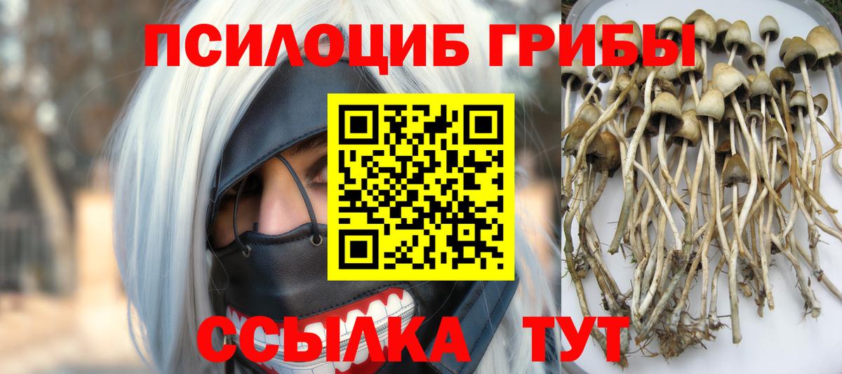 Псилоцибиновые грибы MAGIC MUSHROOMS Моздок