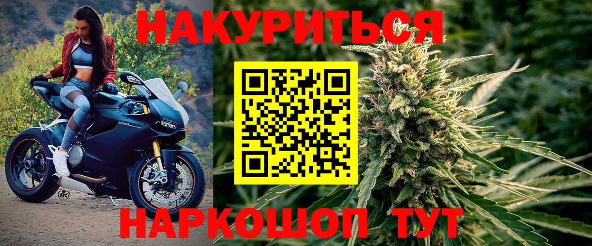 Канабис семена Моздок